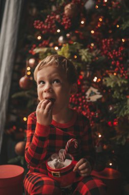 Mucizevi Noel Baba 'yı bekleyen mutlu küçük hayalperest çocuk renkli lolipopun tadını çıkarıyor. Kırmızı kareli uykucu neşeli çocuk yeni yılı kutluyor Noel ağacının yanında marshmallowlu Xmas bardağı tutuyor 25 Aralık arifesi
