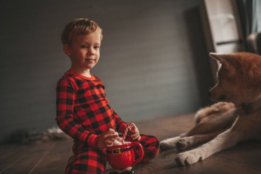 Gülümse küçük çocuk Noel ağacında mucizevi Noel Baba 'yı bekleyen köpekle eğleniyor. Kırmızı kareli uykucu neşeli çocuk yeni yılı kutluyor sevimli akita inu evcil çelenk ışıklarına sarılıyor 25 Aralık arifesi