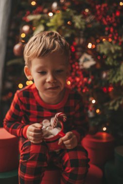 Mucizevi Noel Baba 'yı bekleyen mutlu küçük hayalperest çocuk renkli lolipopun tadını çıkarıyor. Kırmızı kareli uykucu neşeli çocuk yeni yılı kutluyor Noel ağacının yanında marshmallowlu Xmas bardağı tutuyor 25 Aralık arifesi