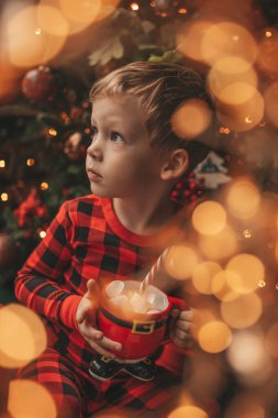 Mucizevi Noel Baba 'yı bekleyen mutlu küçük hayalperest çocuk renkli lolipopun tadını çıkarıyor. Kırmızı kareli uykucu neşeli çocuk yeni yılı kutluyor Noel ağacının yanında marshmallowlu Xmas bardağı tutuyor 25 Aralık arifesi