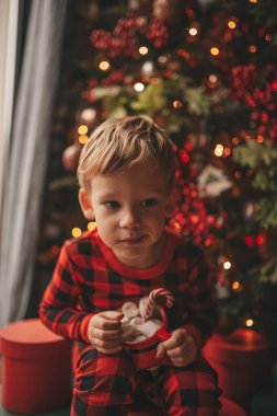Mucizevi Noel Baba 'yı bekleyen mutlu küçük hayalperest çocuk renkli lolipopun tadını çıkarıyor. Kırmızı kareli uykucu neşeli çocuk yeni yılı kutluyor Noel ağacının yanında marshmallowlu Xmas bardağı tutuyor 25 Aralık arifesi