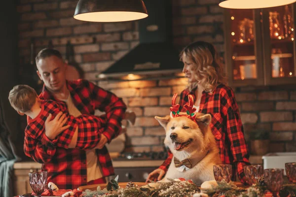 12月25日晚 身穿红色格子布睡衣的快乐家庭的画像在家中拥抱亲吻 庆祝新年舒适舒适拥抱温暖的天气花环灯拥抱着他可爱的秋田野狗 — 图库照片
