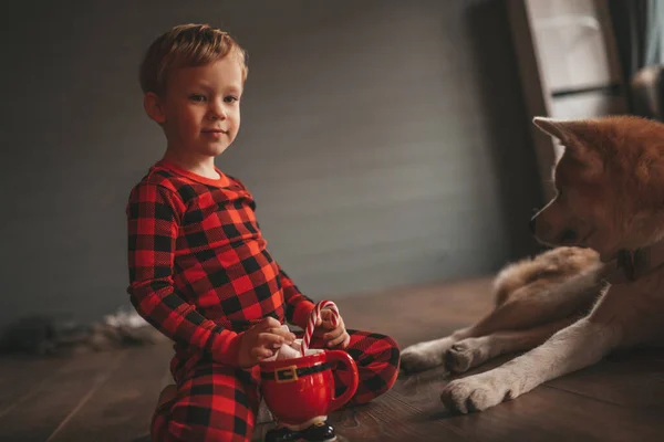 Úsměv Malé Dítě Baví Psem Čeká Zázrak Santa Stromu Noel — Stock fotografie