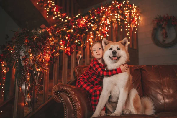 Litet Barn Har Kul Med Hund Väntar Mirakel Santa Vid — Stockfoto