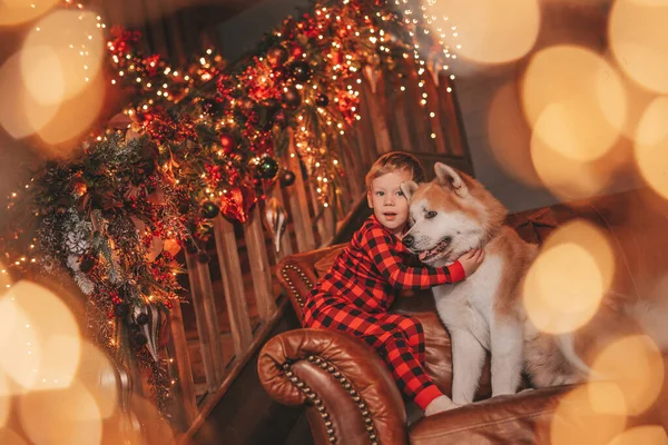 Úsměv Malé Dítě Baví Psem Čeká Zázrak Santa Stromu Noel — Stock fotografie