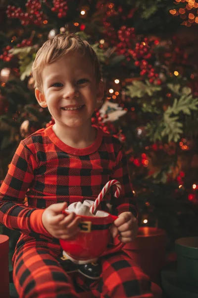 Mucizevi Noel Baba 'yı bekleyen mutlu küçük hayalperest çocuk renkli lolipopun tadını çıkarıyor. Kırmızı kareli uykucu neşeli çocuk yeni yılı kutluyor Noel ağacının yanında marshmallowlu Xmas bardağı tutuyor 25 Aralık arifesi