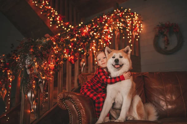 Gülümse Küçük Çocuk Noel Ağacında Mucizevi Noel Baba Bekleyen Köpekle — Stok fotoğraf