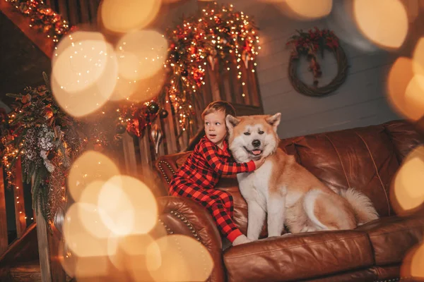 Gülümse Küçük Çocuk Noel Ağacında Mucizevi Noel Baba Bekleyen Köpekle — Stok fotoğraf