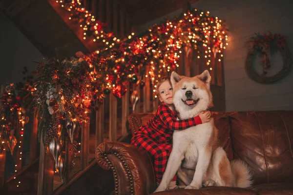 Lach Klein Kind Met Plezier Met Hond Wachten Wonder Kerstman — Stockfoto