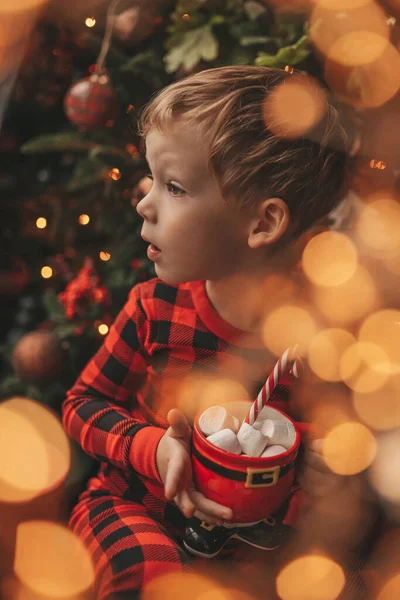 Felice Bambino Sognatore Attesa Miracolo Babbo Natale Godere Caramelle Colore — Foto Stock