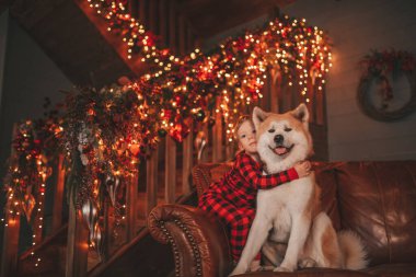 Gülümse küçük çocuk Noel ağacında mucizevi Noel Baba 'yı bekleyen köpekle eğleniyor. Kırmızı kareli uykucu neşeli çocuk yeni yılı kutluyor sevimli akita inu evcil çelenk ışıklarına sarılıyor 25 Aralık arifesi