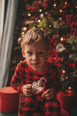 Mucizevi Noel Baba 'yı bekleyen mutlu küçük hayalperest çocuk renkli lolipopun tadını çıkarıyor. Kırmızı kareli uykucu neşeli çocuk yeni yılı kutluyor Noel ağacının yanında marshmallowlu Xmas bardağı tutuyor 25 Aralık arifesi