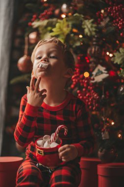 Mucizevi Noel Baba 'yı bekleyen mutlu küçük hayalperest çocuk renkli lolipopun tadını çıkarıyor. Kırmızı kareli uykucu neşeli çocuk yeni yılı kutluyor Noel ağacının yanında marshmallowlu Xmas bardağı tutuyor 25 Aralık arifesi