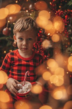 Mucizevi Noel Baba 'yı bekleyen mutlu küçük hayalperest çocuk renkli lolipopun tadını çıkarıyor. Kırmızı kareli uykucu neşeli çocuk yeni yılı kutluyor Noel ağacının yanında marshmallowlu Xmas bardağı tutuyor 25 Aralık arifesi