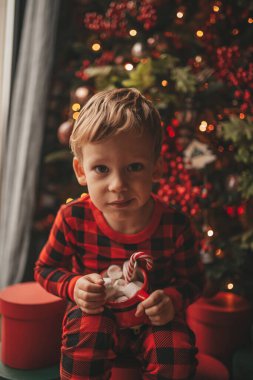 Mucizevi Noel Baba 'yı bekleyen mutlu küçük hayalperest çocuk renkli lolipopun tadını çıkarıyor. Kırmızı kareli uykucu neşeli çocuk yeni yılı kutluyor Noel ağacının yanında marshmallowlu Xmas bardağı tutuyor 25 Aralık arifesi