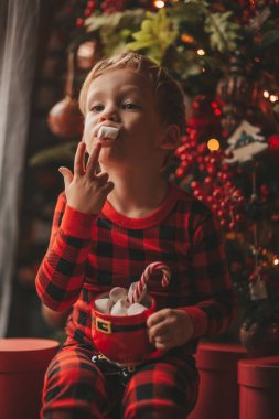 Mucizevi Noel Baba 'yı bekleyen mutlu küçük hayalperest çocuk renkli lolipopun tadını çıkarıyor. Kırmızı kareli uykucu neşeli çocuk yeni yılı kutluyor Noel ağacının yanında marshmallowlu Xmas bardağı tutuyor 25 Aralık arifesi