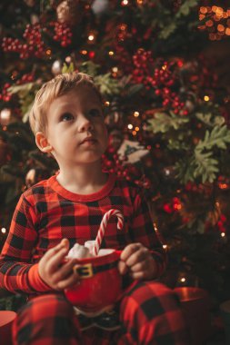 Mucizevi Noel Baba 'yı bekleyen mutlu küçük hayalperest çocuk renkli lolipopun tadını çıkarıyor. Kırmızı kareli uykucu neşeli çocuk yeni yılı kutluyor Noel ağacının yanında marshmallowlu Xmas bardağı tutuyor 25 Aralık arifesi