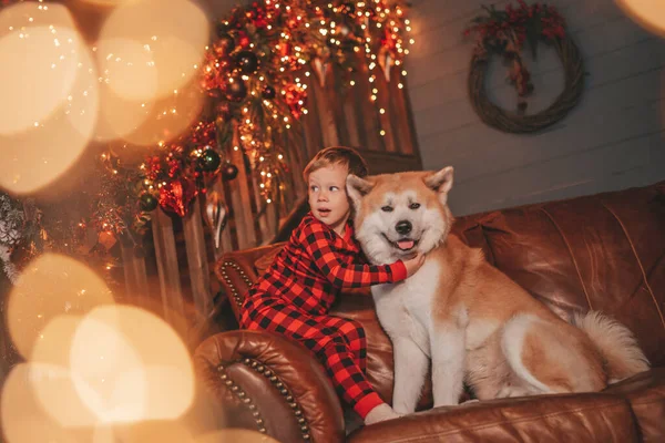 Litet Barn Har Kul Med Hund Väntar Mirakel Santa Vid — Stockfoto