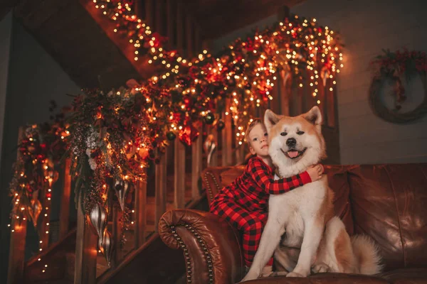 Sorria Criança Pequena Divertindo Com Cão Esperando Papai Noel Milagre — Fotografia de Stock