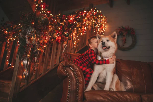 Gülümse Küçük Çocuk Noel Ağacında Mucizevi Noel Baba Bekleyen Köpekle — Stok fotoğraf