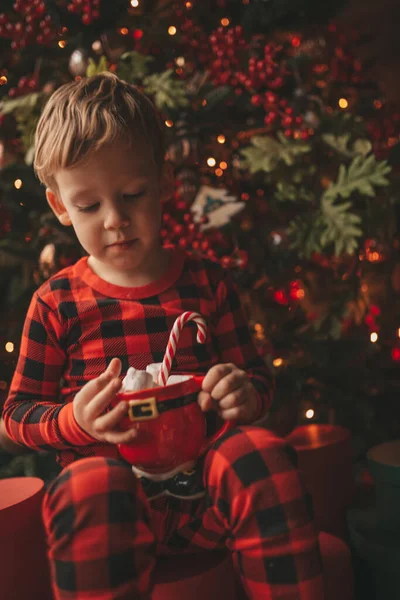 Glückliche Kleine Träumer Warten Auf Wunder Santa Genießen Süßigkeiten Farbe — Stockfoto