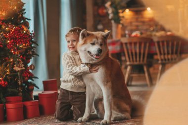 Gülümseyen küçük çocuk Noel ağacında mucizevi Noel Baba 'yı beklerken köpekle eğleniyor. Neşeli çocuk yeni yılı kutluyor. Sevimli akita inu evcil hayvanına sarılıyor. 25 Aralık 'ta çelenk ışıkları sönüyor.