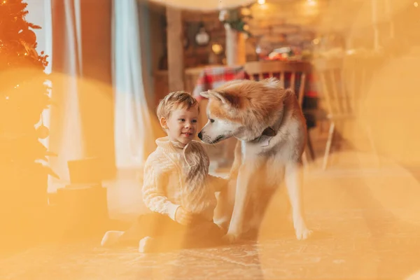 Χαμογελώντας Μικρό Παιδί Έχει Διασκέδαση Σκυλί Περιμένει Θαύμα Σάντα Στο — Φωτογραφία Αρχείου