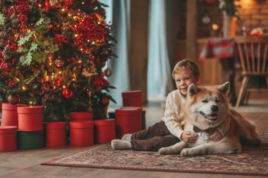 Gülümseyen küçük çocuk Noel ağacında mucizevi Noel Baba 'yı beklerken köpekle eğleniyor. Neşeli çocuk yeni yılı kutluyor. Sevimli akita inu evcil hayvanına sarılıyor. 25 Aralık 'ta çelenk ışıkları sönüyor.