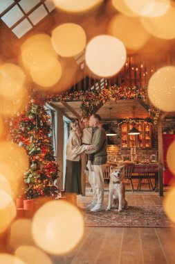 Evde Noel Baba 'yı Akita Inu ile bekleyen örgü bej kazaklı mutlu aile portresi. Gülümseyen ebeveynler küçük oğlunu kucaklıyor ve öpüyor. 25 Aralık Noel ağacının ışıkları altında Noel 'i kutluyor.