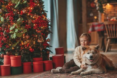 Gülümseyen küçük çocuk Noel ağacında mucizevi Noel Baba 'yı beklerken köpekle eğleniyor. Neşeli çocuk yeni yılı kutluyor. Sevimli akita inu evcil hayvanına sarılıyor. 25 Aralık 'ta çelenk ışıkları sönüyor.