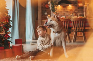 Gülümseyen küçük çocuk Noel ağacında mucizevi Noel Baba 'yı beklerken köpekle eğleniyor. Neşeli çocuk yeni yılı kutluyor. Sevimli akita inu evcil hayvanına sarılıyor. 25 Aralık 'ta çelenk ışıkları sönüyor.