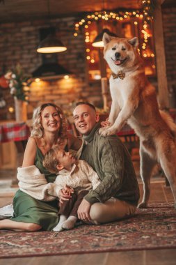 Evde Noel Baba 'yı Akita Inu ile bekleyen örgü bej kazaklı mutlu aile portresi. Gülümseyen ebeveynler küçük oğlunu kucaklıyor ve öpüyor. 25 Aralık Noel ağacının ışıkları altında Noel 'i kutluyor.