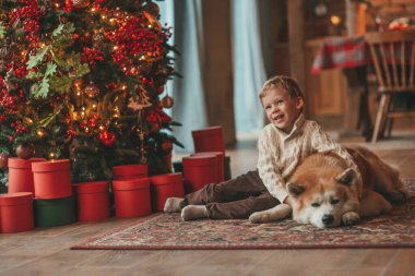Gülümseyen küçük çocuk Noel ağacında mucizevi Noel Baba 'yı beklerken köpekle eğleniyor. Neşeli çocuk yeni yılı kutluyor. Sevimli akita inu evcil hayvanına sarılıyor. 25 Aralık 'ta çelenk ışıkları sönüyor.