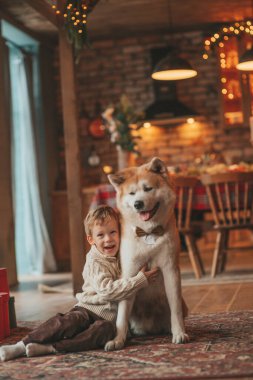 Gülümseyen küçük çocuk Noel ağacında mucizevi Noel Baba 'yı beklerken köpekle eğleniyor. Neşeli çocuk yeni yılı kutluyor. Sevimli akita inu evcil hayvanına sarılıyor. 25 Aralık 'ta çelenk ışıkları sönüyor.