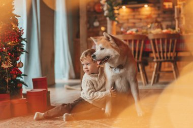Gülümseyen küçük çocuk Noel ağacında mucizevi Noel Baba 'yı beklerken köpekle eğleniyor. Neşeli çocuk yeni yılı kutluyor. Sevimli akita inu evcil hayvanına sarılıyor. 25 Aralık 'ta çelenk ışıkları sönüyor.