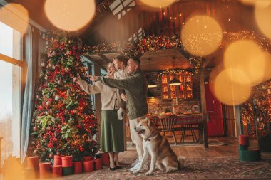 Evde Noel Baba 'yı Akita Inu ile bekleyen örgü bej kazaklı mutlu aile portresi. Gülümseyen ebeveynler küçük oğlunu kucaklıyor ve öpüyor. 25 Aralık Noel ağacının ışıkları altında Noel 'i kutluyor.