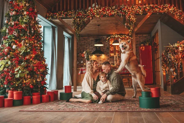 Evde Noel Baba Akita Inu Ile Bekleyen Örgü Bej Kazaklı — Stok fotoğraf