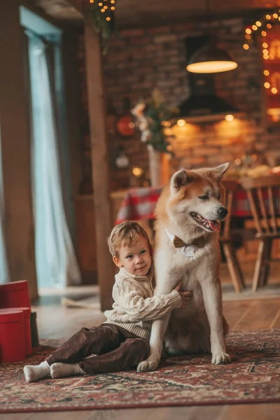 Χαμογελώντας Μικρό Παιδί Έχει Διασκέδαση Σκυλί Περιμένει Θαύμα Σάντα Στο — Φωτογραφία Αρχείου