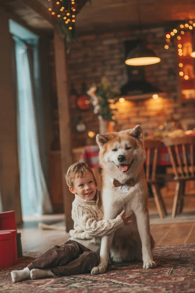 Усміхнена Маленька Дитина Розважається Собакою Чекаючи Дива Санта Дереві Ноеля — стокове фото