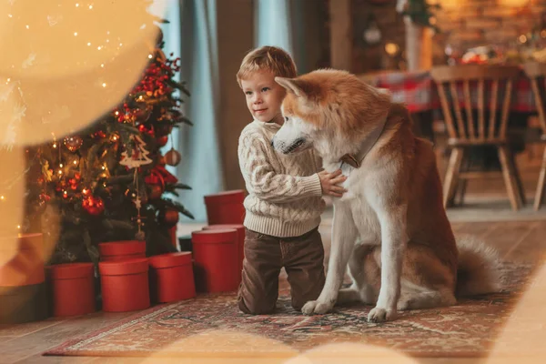 Улыбающийся Маленький Ребенок Веселится Собакой Ожидая Чуда Санты Дереве Ноэля — стоковое фото