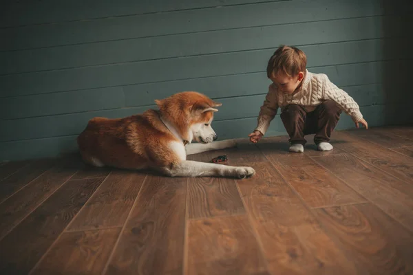 Leende Litet Barn Har Kul Med Hund Väntar Mirakel Santa — Stockfoto