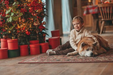 Gülümseyen küçük çocuk Noel ağacında mucizevi Noel Baba 'yı beklerken köpekle eğleniyor. Neşeli çocuk yeni yılı kutluyor. Sevimli akita inu evcil hayvanına sarılıyor. 25 Aralık 'ta çelenk ışıkları sönüyor.