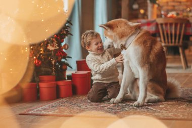 Gülümseyen küçük çocuk Noel ağacında mucizevi Noel Baba 'yı beklerken köpekle eğleniyor. Neşeli çocuk yeni yılı kutluyor. Sevimli akita inu evcil hayvanına sarılıyor. 25 Aralık 'ta çelenk ışıkları sönüyor.