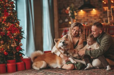 Evde Noel Baba 'yı Akita Inu ile bekleyen örgü bej kazaklı mutlu aile portresi. Gülümseyen ebeveynler küçük oğlunu kucaklıyor ve öpüyor. 25 Aralık Noel ağacının ışıkları altında Noel 'i kutluyor.