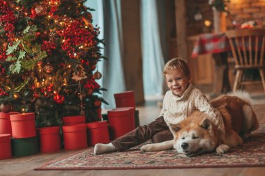 Gülümseyen küçük çocuk Noel ağacında mucizevi Noel Baba 'yı beklerken köpekle eğleniyor. Neşeli çocuk yeni yılı kutluyor. Sevimli akita inu evcil hayvanına sarılıyor. 25 Aralık 'ta çelenk ışıkları sönüyor.