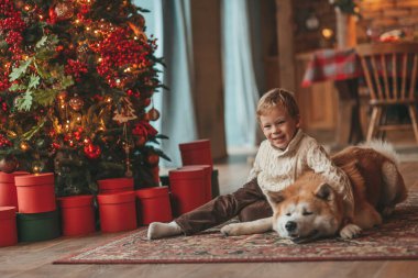 Gülümseyen küçük çocuk Noel ağacında mucizevi Noel Baba 'yı beklerken köpekle eğleniyor. Neşeli çocuk yeni yılı kutluyor. Sevimli akita inu evcil hayvanına sarılıyor. 25 Aralık 'ta çelenk ışıkları sönüyor.