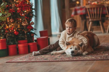 Gülümseyen küçük çocuk Noel ağacında mucizevi Noel Baba 'yı beklerken köpekle eğleniyor. Neşeli çocuk yeni yılı kutluyor. Sevimli akita inu evcil hayvanına sarılıyor. 25 Aralık 'ta çelenk ışıkları sönüyor.