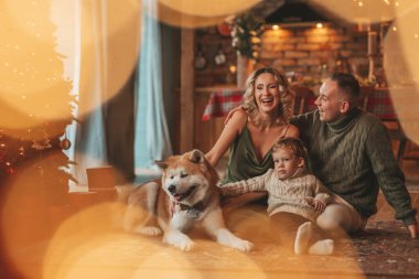 Evde Noel Baba 'yı Akita Inu ile bekleyen örgü bej kazaklı mutlu aile portresi. Gülümseyen ebeveynler küçük oğlunu kucaklıyor ve öpüyor. 25 Aralık Noel ağacının ışıkları altında Noel 'i kutluyor.