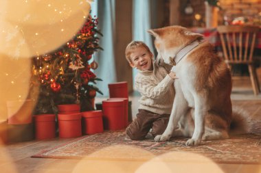Gülümseyen küçük çocuk Noel ağacında mucizevi Noel Baba 'yı beklerken köpekle eğleniyor. Neşeli çocuk yeni yılı kutluyor. Sevimli akita inu evcil hayvanına sarılıyor. 25 Aralık 'ta çelenk ışıkları sönüyor.