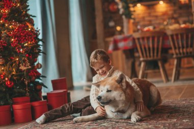 Gülümseyen küçük çocuk Noel ağacında mucizevi Noel Baba 'yı beklerken köpekle eğleniyor. Neşeli çocuk yeni yılı kutluyor. Sevimli akita inu evcil hayvanına sarılıyor. 25 Aralık 'ta çelenk ışıkları sönüyor.